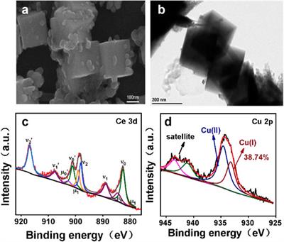 Membrane-free Electrocatalysis of CO2 to C2 on CuO/CeO2 Nanocomposites